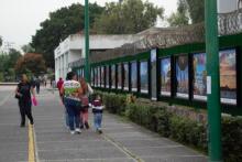 “Paisajes culturales de Jalisco” en el Centro Médico de Occidente (foto 1)