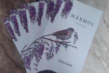 "Mármol", el corazón de Diana Geele por las calles