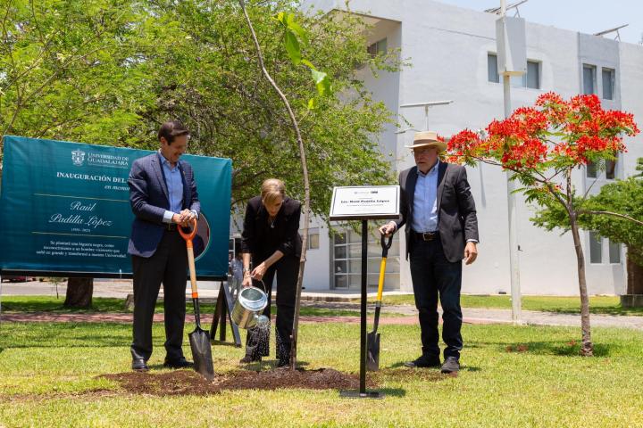 En el CUAAD fue plantada una higuera negra como homenahe a Raúl Padilla López