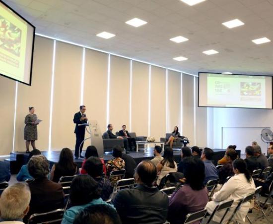 Educar en las emociones genera profesionales más creativos, afirma experto de la UNAM (foto 2)