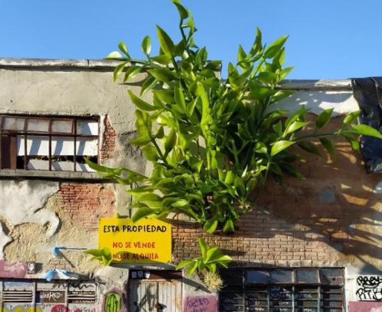 Diseñadora Industrial del CUAAD recrea entornos urbanos tapatíos a microescala_1