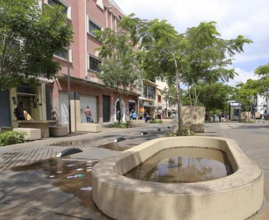 En combate al dengue se debe tomar en cuenta factores urbanos y geográficos_1