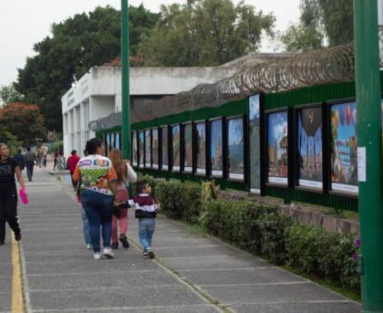 “Paisajes culturales de Jalisco” en el Centro Médico de Occidente (foto 1)
