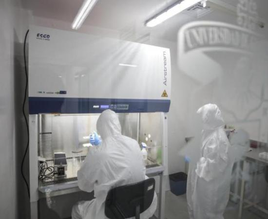 Reafirma UdeG compromiso con la investigación de alto nivel (foto 1)