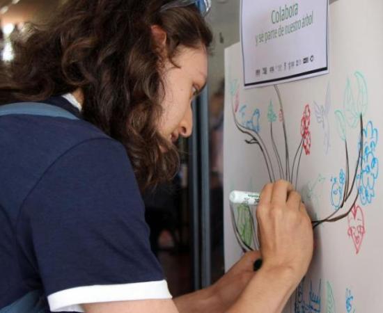 Carteles del CUAAD se van a la Bienal Calanca 2025, en Suiza 1