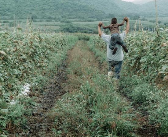 Alumnos y egresados del DIS participarán en el Guanajuato International Film Festival  3