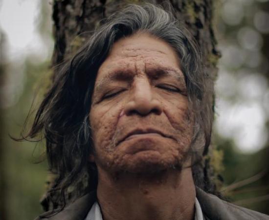 Alumnos y egresados del DIS participarán en el Guanajuato International Film Festival  1