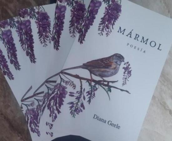 "Mármol", el corazón de Diana Geele por las calles