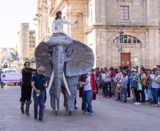 CUAAD se engalana con fiesta literaria, que incluye desfile y conversatorios 3