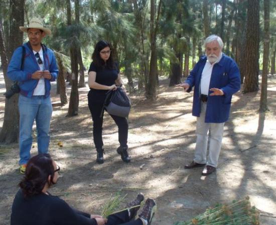 Realizan alumnos del CUAAD escultura urbana en el Bosque de Los Colomos