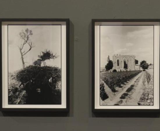 Talento UdeG participa en exposiciones_img7